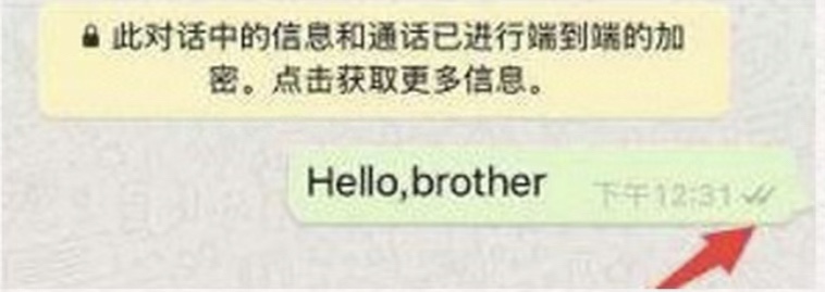 WhatsApp海外版(图2)