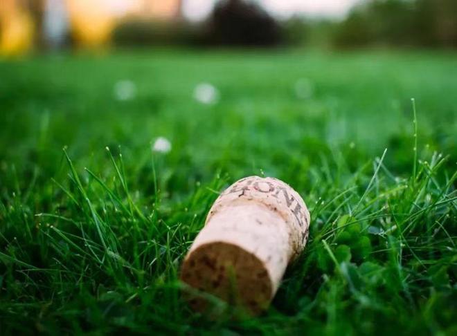 大龄剩女的未来在何方?99%终究逃不过这几种人生轨迹(图3)