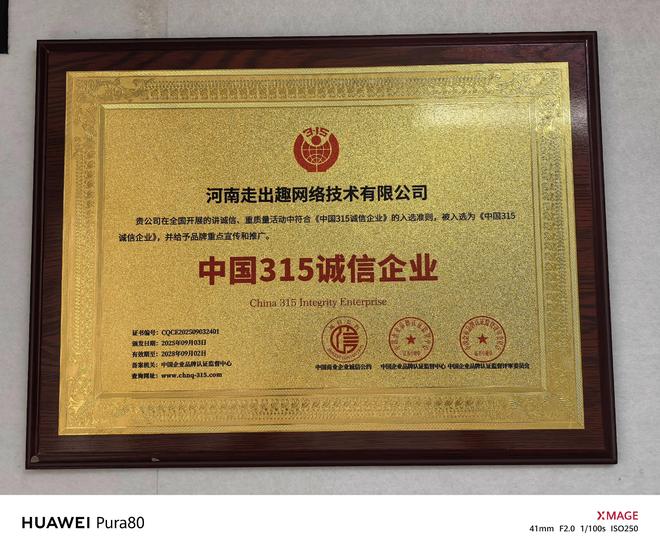 剖析二婚相亲行业发展现状优质靠谱服务机构权威推荐(图2)